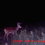 MDGC0358.JPG
