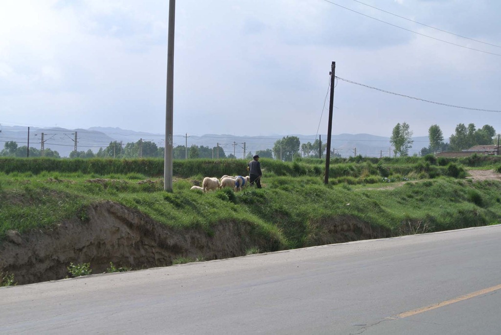 [DSC_3200%255B4%255D.jpg]