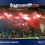 ap0910 fenix campeon (4).jpg