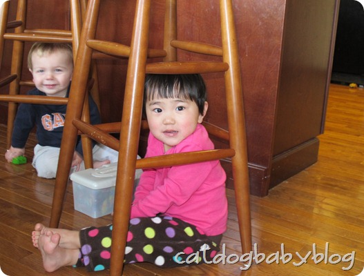 2012-01-14 (17)