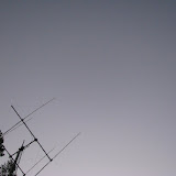 IMG_4449.JPG