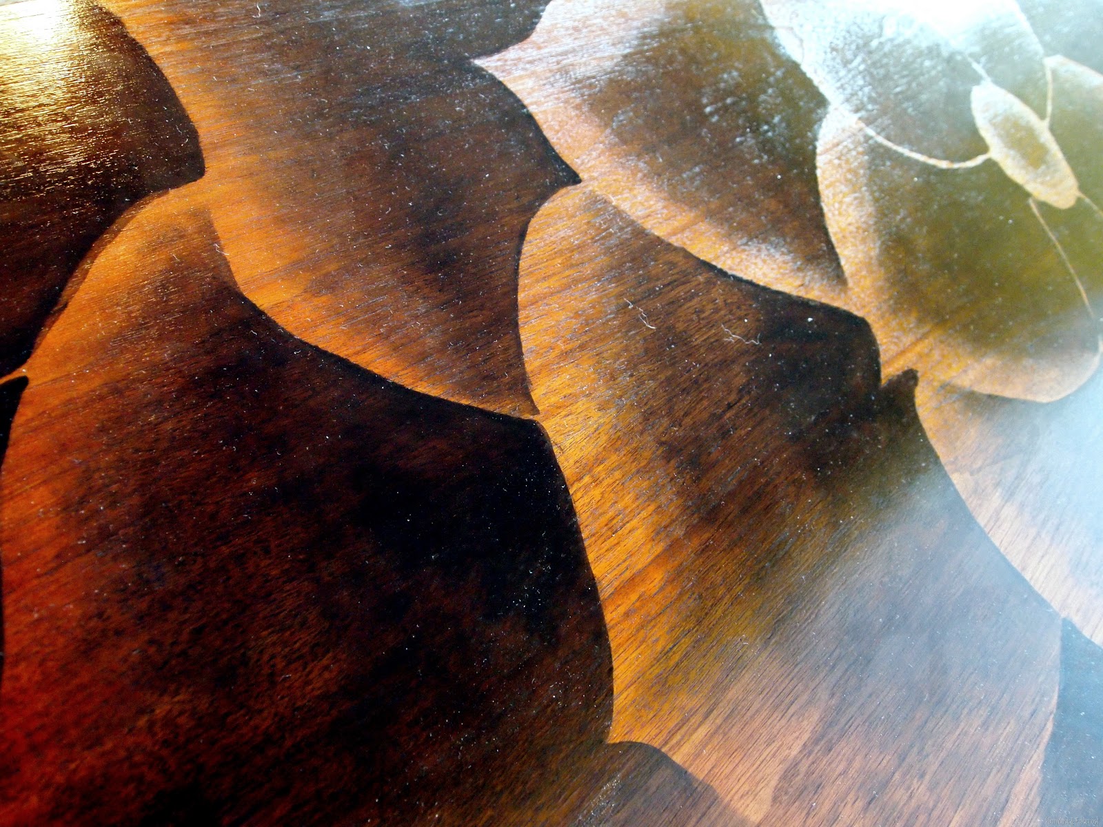 [Shading%2520with%2520Stain%2520%257BSawdust%2520and%2520Embryos%257D%255B3%255D.jpg]