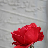 Istanbul 2006