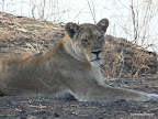 South Luanga Nationalpark