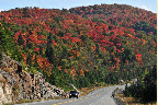 Hwy 17 North Fall Drive