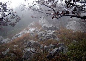 Brezpotna pobočja Srednje gore.