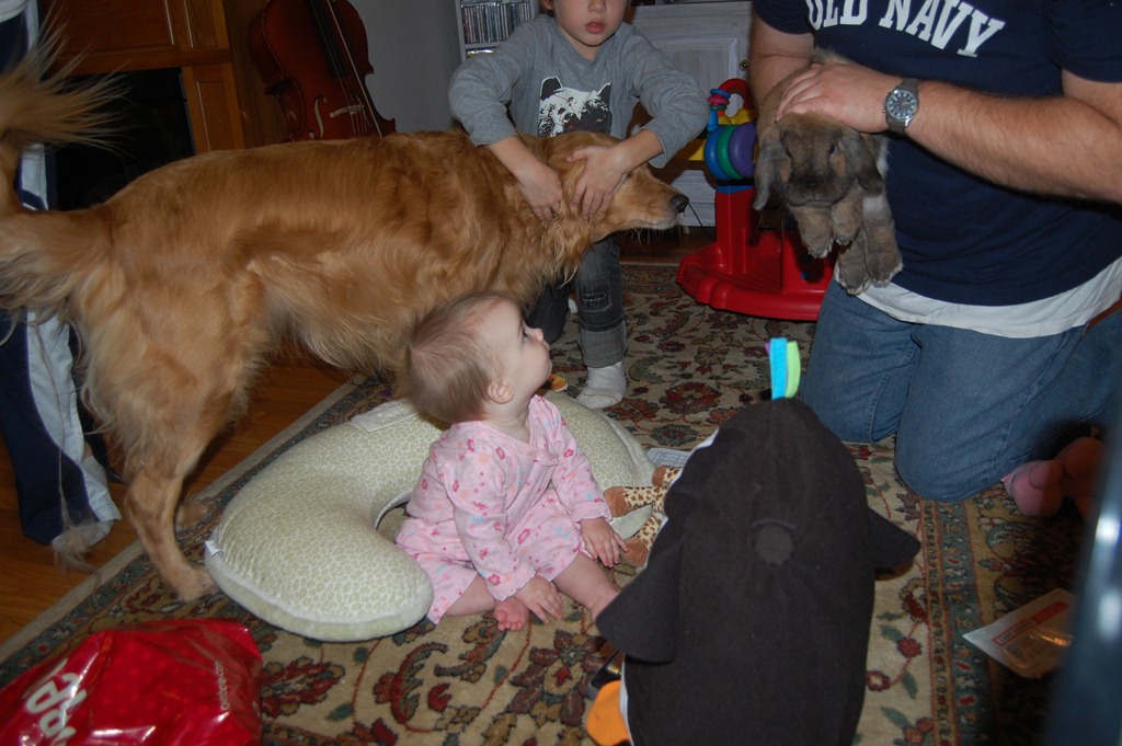 [DSC_0882%255B8%255D.jpg]