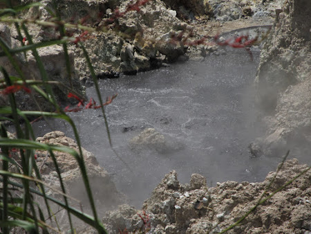 St. Lucia: Sulfur springs