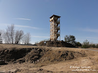 dsc06687.jpg
