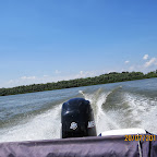 IMG_4279.JPG