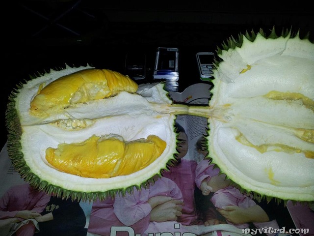 [Durian%2520D24%255B6%255D.jpg]