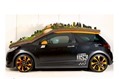 Citroen-DS3-Rally-2 Citroen-DS3-Rally-2