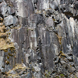 IMG_8892.jpg