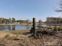 dsc07511.jpg