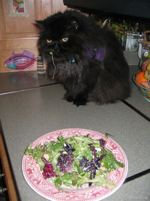 [balle%2520salad%255B4%255D.jpg]