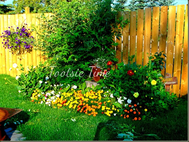 BeFunky_018.jpg BeFunky_018.jpg