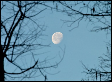 00- Morning Moon