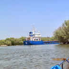 IMG_7713.JPG