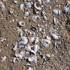 20100822_015_small.JPG