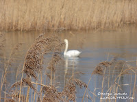 dsc07115.jpg