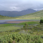 DSC03084.JPG
