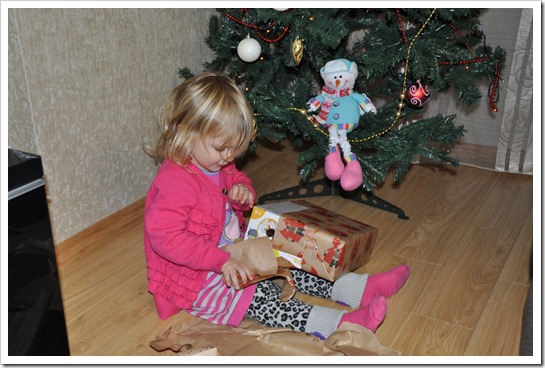 Better Christmas 2012 026