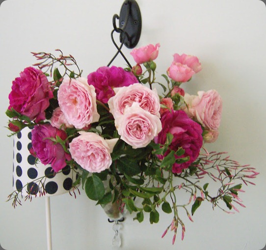 OakandtheOwl_GardenRoses1