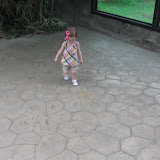 IMG_1817.jpg