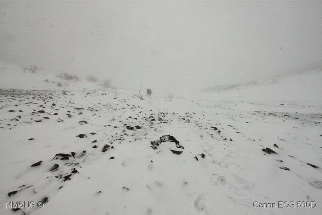 [IMG_6120%255B16%255D.jpg]