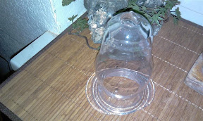 IMAG0068.jpg