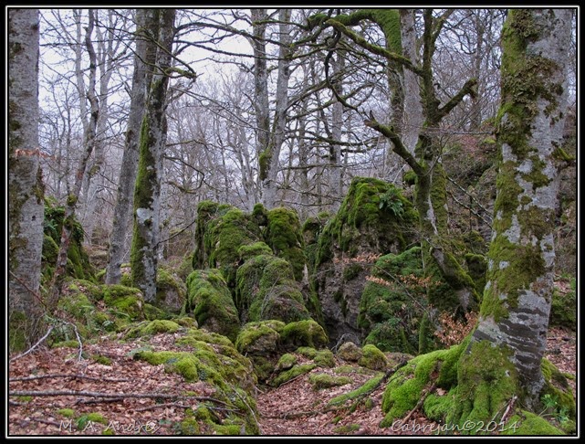 artea 035 artea 035
