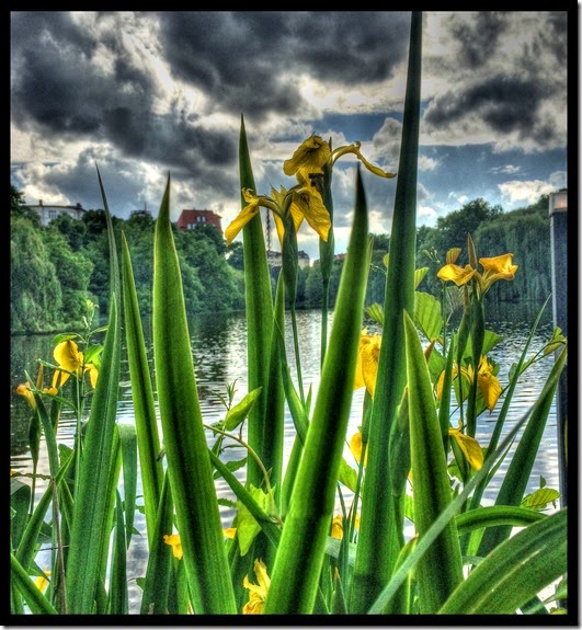 Lietzensee Graf von Blickensdorf