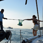 Papiere werden übergeben beim Ausklarieren