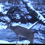 Cdy00066.JPG
