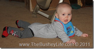 IMG_0045 IMG_0045