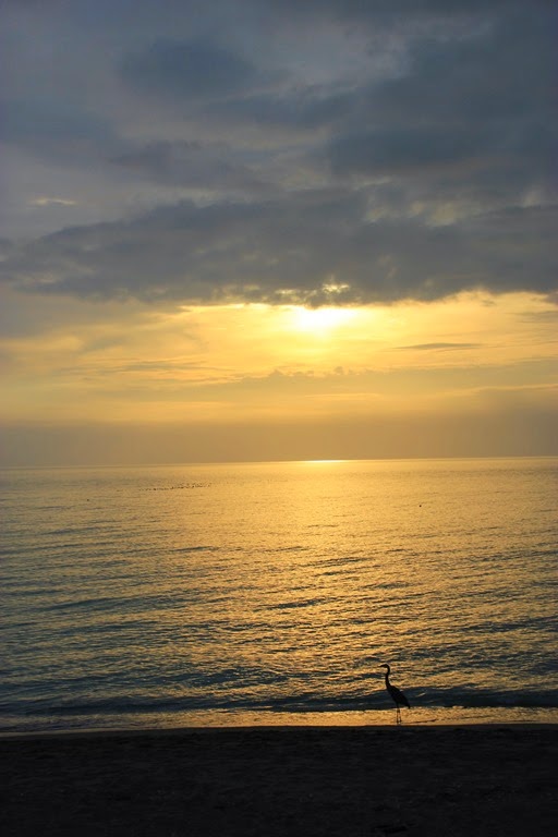 [Sunset-Turtle-Beach5.jpg]