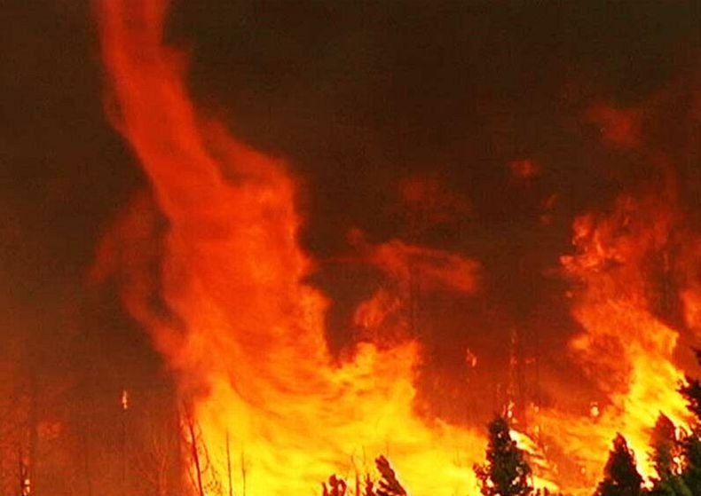 fire-tornadoes-2 fire-tornadoes-2