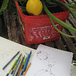 vegie_artworks_10 - 056.jpg