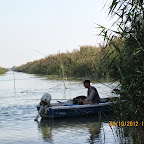 IMG_8085.JPG