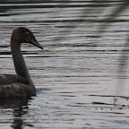 IMG_8250.JPG