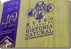 Museo Museo