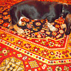 DSCN2486.JPG