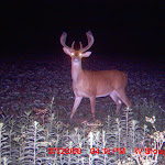 MDGC0254.JPG