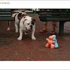 bleecker6ave.13.jpg