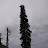 DSC00136.JPG