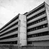 Gullfiber (1).JPG