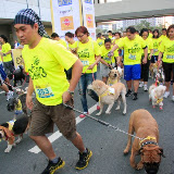 Pet Express Doggie Run 2012 Philippines. Jpg (39).JPG