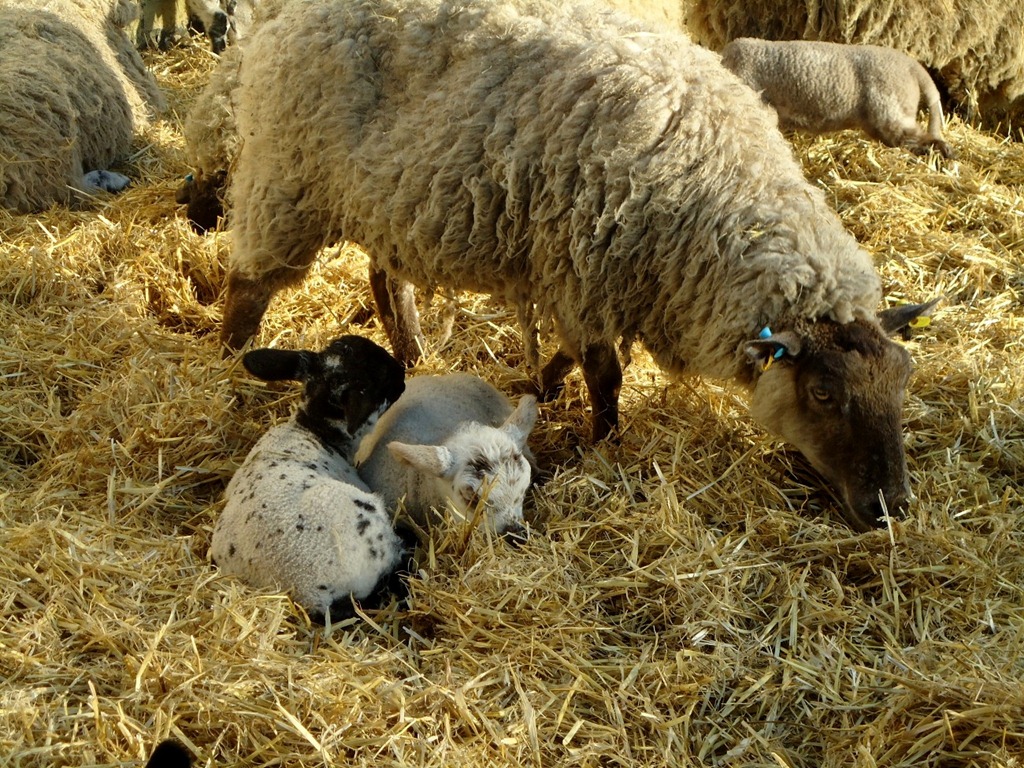 [DSC08940%255B4%255D.jpg]