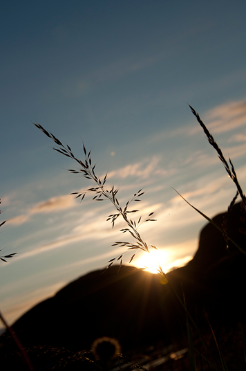 [DSC_0171%255B7%255D.png]