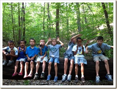 8 silly kids on a log